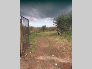 Terreno edificabile in Vendita a Messina, 9'000€, 2000 m²