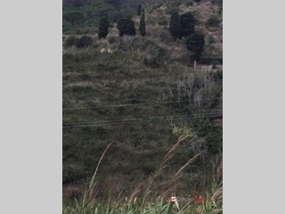 Terreno edificabile in Vendita a Messina, 8'000€, 2700 m²