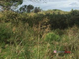 Terreno edificabile in Vendita a Messina, 16'000€, 3260 m²