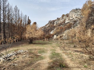 Terreno agricolo in Vendita a Melilli, 18'000€, 6674 m²