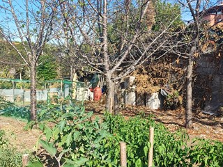 Terreno agricolo in Vendita a Valverde, zona Carminello, 25'000€, 620 m²