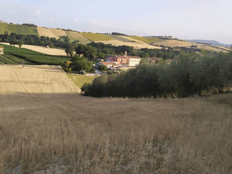 Terreno agricolo in Vendita a Jesi, 32'000€, 4927 m²