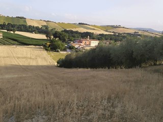 Terreno agricolo in Vendita a Jesi, 32'000€, 4927 m²