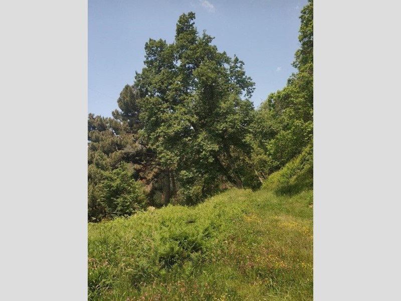 Casa di corte in Vendita a Montignoso, zona Sant'Eustachio, 100'000€, 60 m²