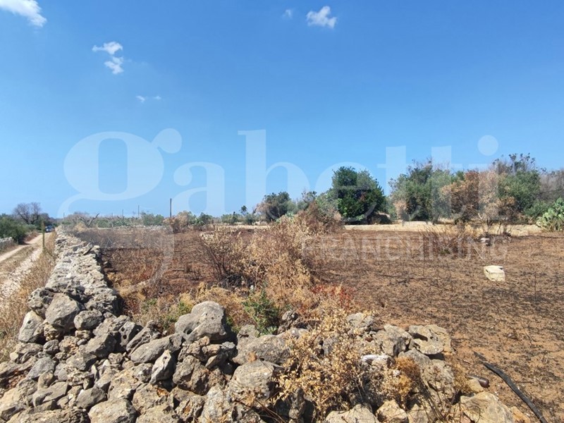 Terreno agricolo in Vendita a Ugento, 8'000€, 3250 m²
