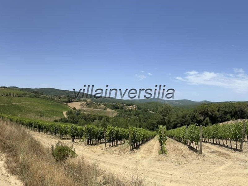 Terreno agricolo in Vendita a Castelnuovo Berardenga, 12'500'000€, 1000000 m²