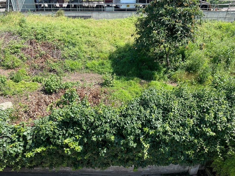 Terreno agricolo in Vendita a Pianezza, 150'000€, 2215 m²