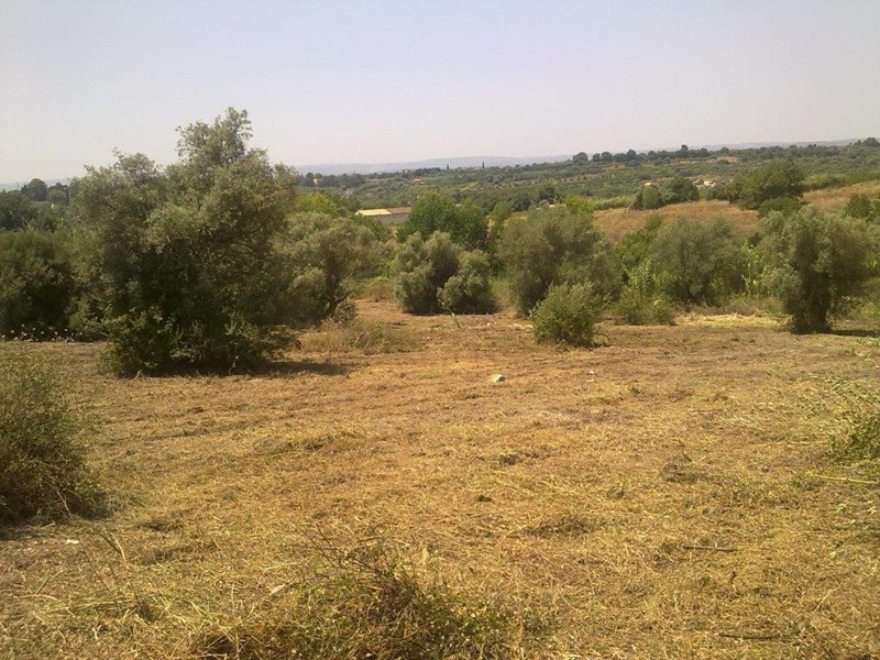 Terreno agricolo in Vendita a Siracusa, zona Strada per Floridia Tremilia, 50'000€, 6813 m²