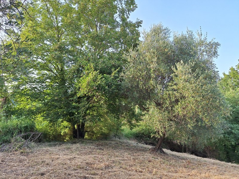 Terreno agricolo in Vendita a Morlupo, 8'000&euro;, 2900 m²