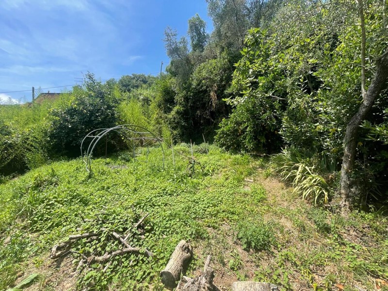 Casa Indipendente in Vendita a Ameglia, 225'000&euro;, 160 m²