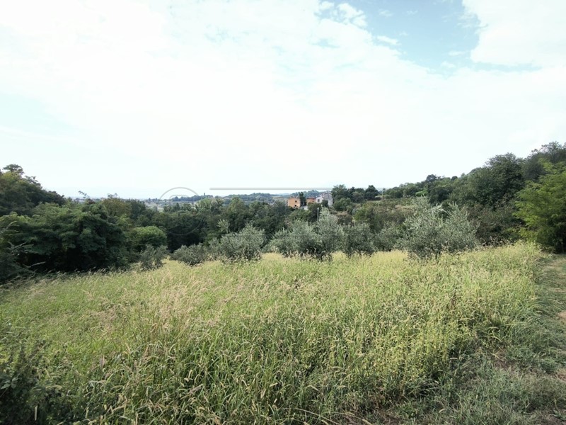 Terreno agricolo in Vendita a Fara Vicentino, zona FARA, 60'000&euro;, 