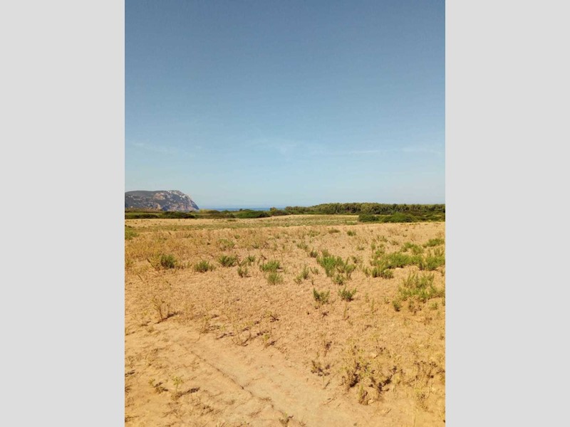 Terreno agricolo in Vendita a Sassari, 155'000€, 70000 m²
