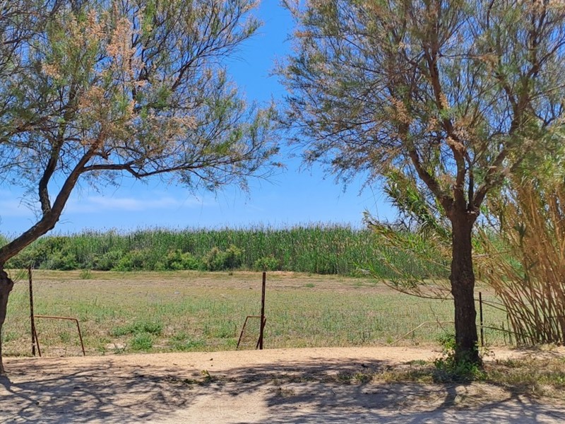 Terreno agricolo in Vendita a Quartu Sant'Elena, zona Molentargius, 34'000&euro;, 16862 m²
