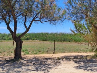 Terreno agricolo in Vendita a Quartu Sant'Elena, zona Molentargius, 34'000&euro;, 16862 m²