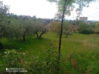 Terreno agricolo in Vendita a Lanciano, 15'000€, 5340 m²