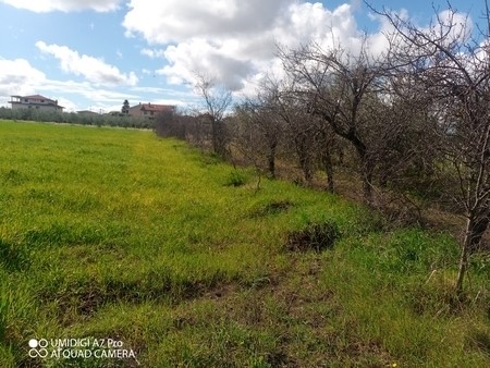 Terreno agricolo in Vendita a Fossacesia, 150'000€, 