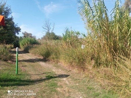 Terreno agricolo in Vendita a Atessa, 40'000€, 17000 m²