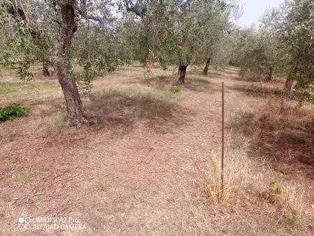 Terreno agricolo in Vendita a Lanciano, 28'000€, 9250 m²