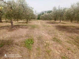 Terreno agricolo in Vendita a Lanciano, 28'000€, 9250 m²