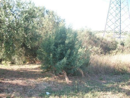 Terreno agricolo in Vendita a Lanciano, 7'500€, 10000 m²