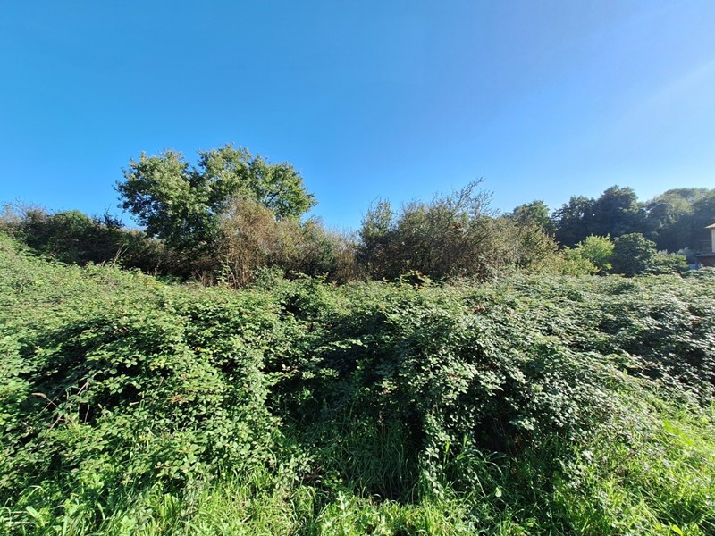 Terreno agricolo in Vendita a Morlupo, 10'000&euro;, 2500 m²