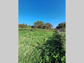 Terreno agricolo in Vendita a Morlupo, 10'000&euro;, 2500 m²
