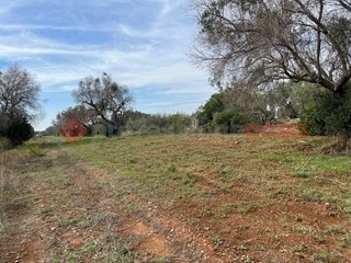 Terreno agricolo in Vendita a Manduria, 3'000€, 3609 m²