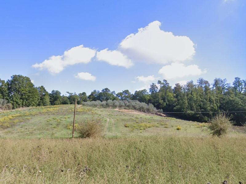 Terreno agricolo in Vendita a San Miniato, zona San Romano, 35'000€, 33250 m²