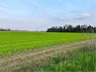 Terreno agricolo in Vendita a Castelfranco di Sotto, 40'000€, 19532 m²