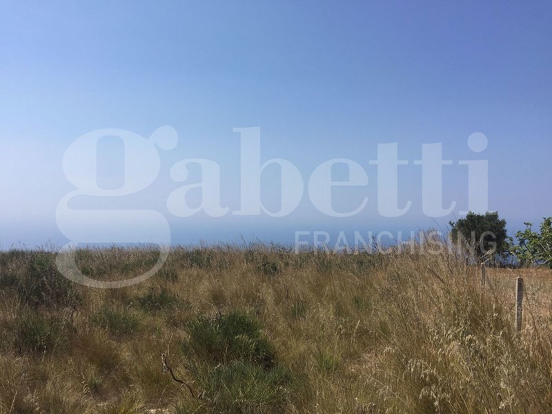 Terreno agricolo in Vendita a Amantea, 20'000€, 3500 m²