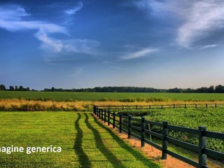 Terreno edificabile in Vendita a Cerreto Guidi, 135'000€, 5600 m²