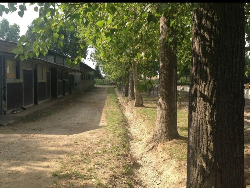 Attività commerciale in Vendita a San Giuliano Terme, 550'000€, 700 m²