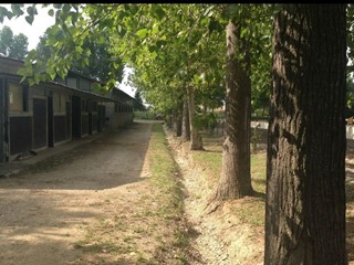 Attività commerciale in Vendita a San Giuliano Terme, 550'000€, 700 m²