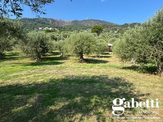 Terreno agricolo in Vendita a Gioiosa Marea, 105'000€, 10000 m²