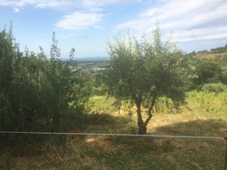 Terreno agricolo in Vendita a Poggibonsi, 30'000€, 3500 m²