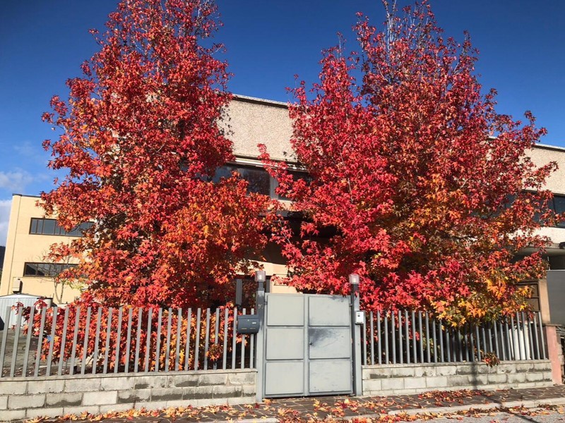 Appartamento in Vendita a Cascina, 295'000€, 200 m², con Box