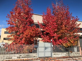 Appartamento in Vendita a Cascina, 295'000€, 200 m², con Box