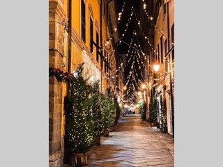 Immobile commerciale in Affitto a Sarzana, 70 m²