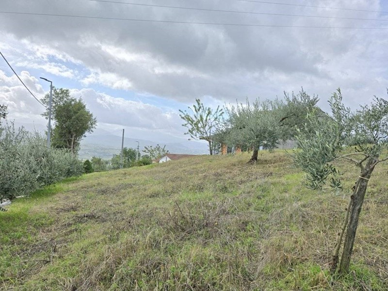 Terreno edificabile in Vendita a Montefusco, 22'000€, 1500 m²