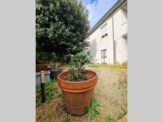 Villetta a schiera in Vendita a Crespina Lorenzana, zona Lavoria, 250'000€, 300 m², con Box