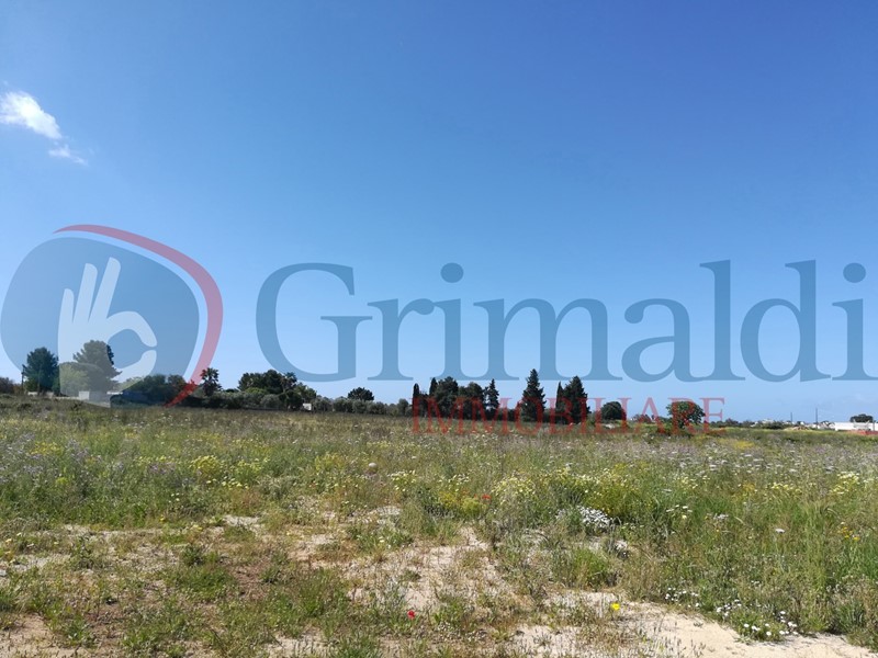 Terreno agricolo in Vendita a Ugento, 12'000€, 5800 m²
