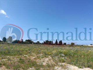 Terreno agricolo in Vendita a Ugento, 12'000€, 5800 m²