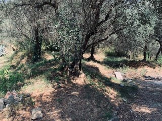 Casa di corte in Vendita a Calci, 200'000€, 180 m²