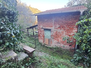 Terreno agricolo in Vendita a La Spezia, zona San Venerio, 20'000€, 928 m²