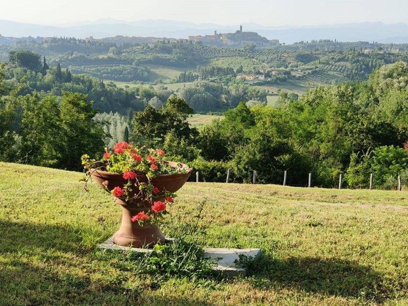 Villa in Vendita a San Miniato, 700'000€, 300 m², arredato, con Box
