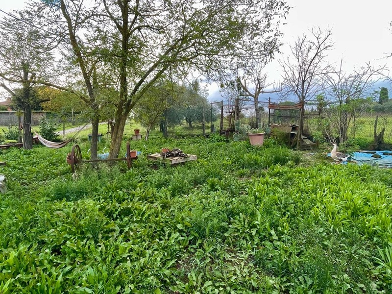 Terreno agricolo in Vendita a Castelnuovo Berardenga, zona Casetta, 95'000€, 5897 m²