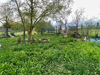 Terreno agricolo in Vendita a Castelnuovo Berardenga, zona Casetta, 95'000€, 5897 m²