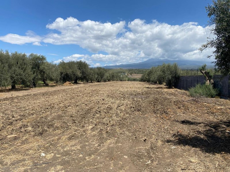 Terreno agricolo in Vendita a Belpasso, zona Valcorrente, 150'000€, 16000 m²
