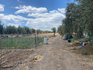 Terreno agricolo in Vendita a Belpasso, zona Valcorrente, 150'000€, 16000 m²