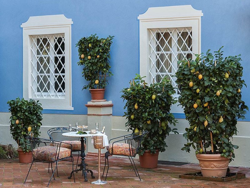 Attività commerciale in Vendita a Lucca, zona San Concordio Contrada, 2'550'000€, 1200 m², arredato